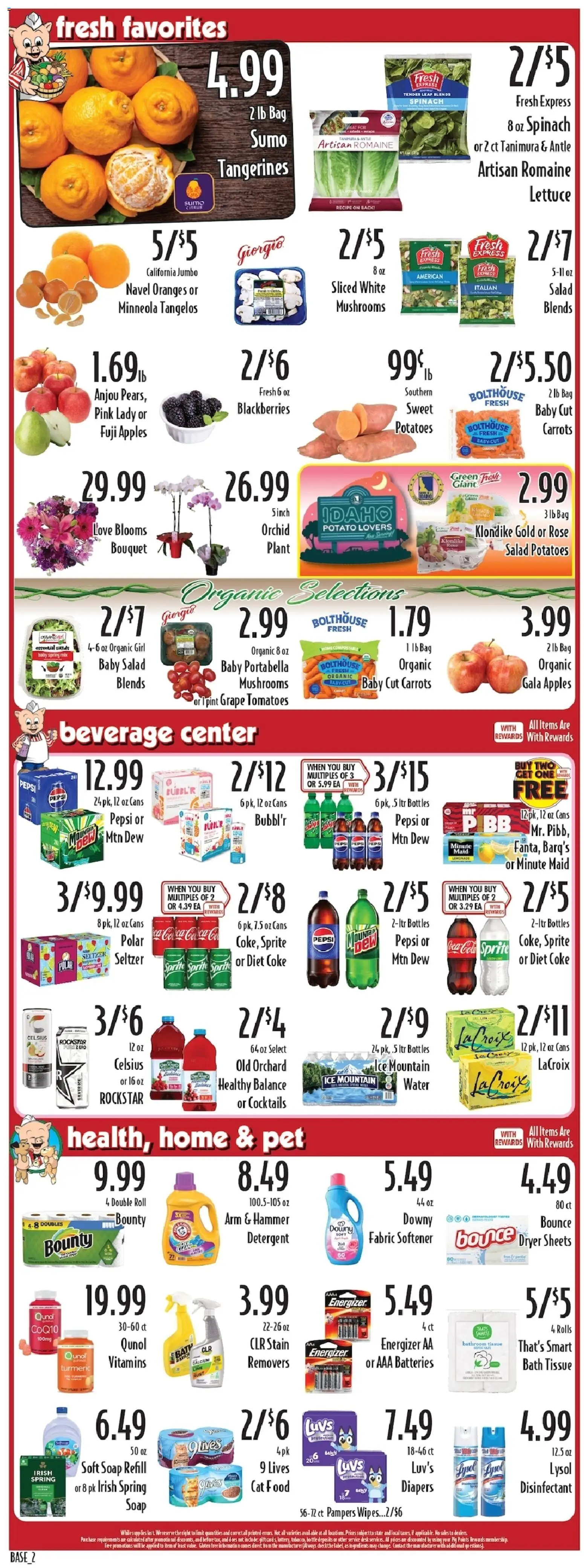 Piggly Wiggly Weekly Ad - valid from 11.02.2026 | Page: 2