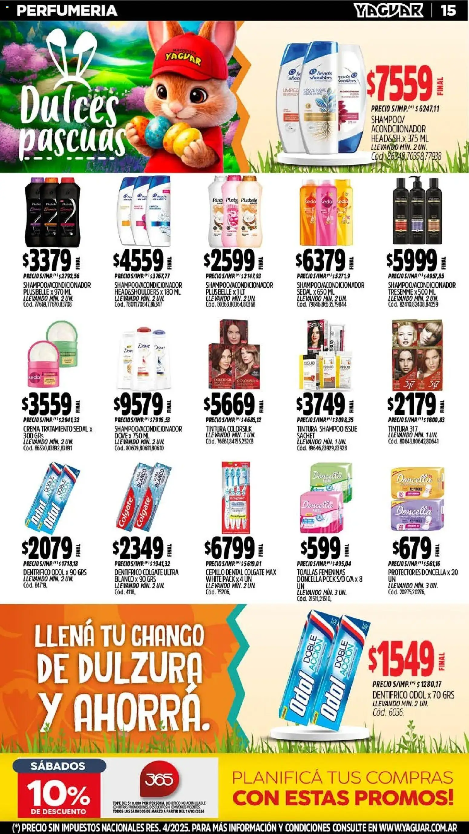Yaguar catálogo │ válido desde el 16.03.2026 | Página: 15 | Productos: Toallas, Cepillo, Shampoo, Tintura