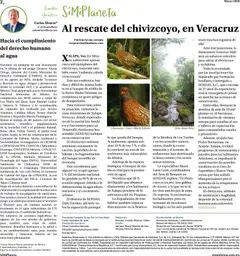 Vista previa de Farmacias Similares catálogo, nuevo folleto de la tienda, válido en México a partir del 01.03.2026 | Página: 2