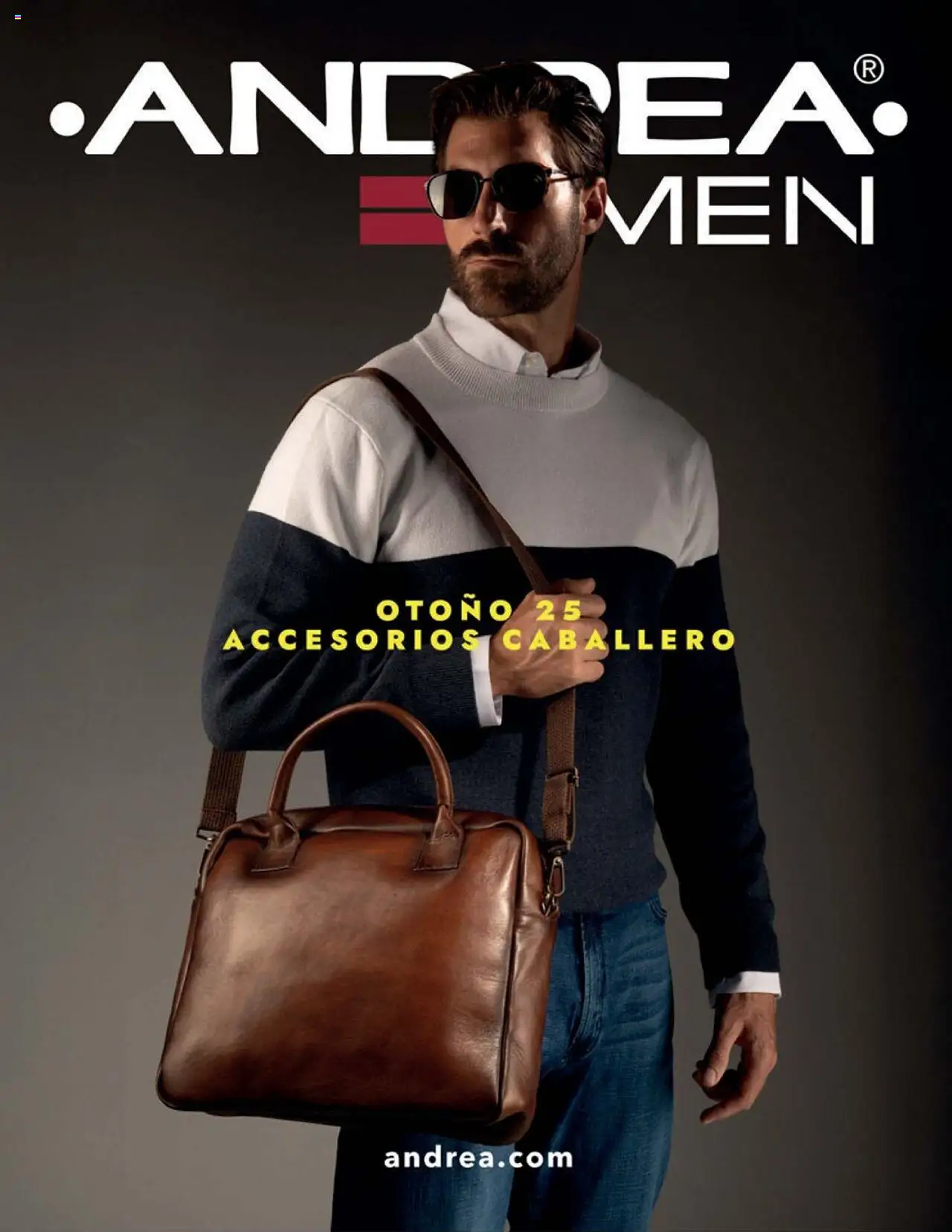 Nuevas ofertas de Andrea válidas en toda la República Mexicana desde el 24.08.2025. ¡Encuentra las mejores ofertas en Andrea - Catálogo Accesorios! | Página: 37