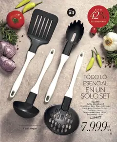 Vista previa Violetta - Violetta Cosméticos válido desde el 05.02.2026 | Página: 99 | Productos: Tenedor, Espatula, Espumadera, Fideos