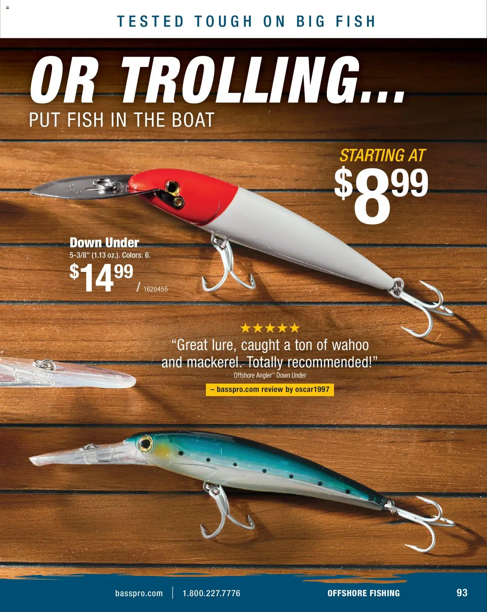 Cabela's Saltwater Specialist 26 - valid from 15.12.2025 | Page: 93 | Products: Fish