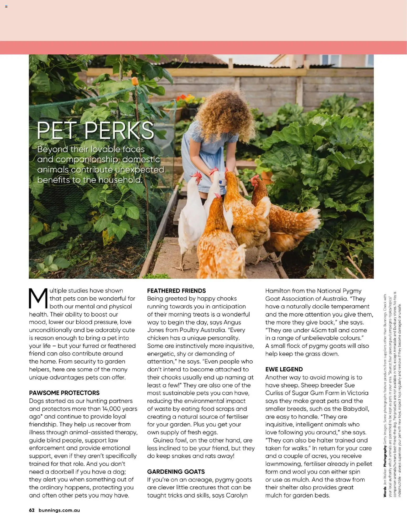 Bunnings Warehouse catalogue - valid from 01.01.2026 | Page: 62 | Products: Grass, Chicken, Sugar, Sustainable