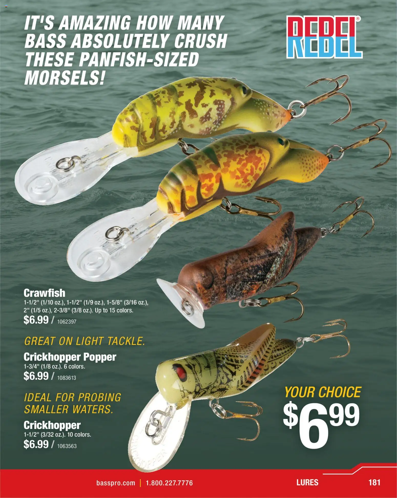 Cabela's Spring Fishing Master 26 - valid from 22.01.2026 | Page: 181