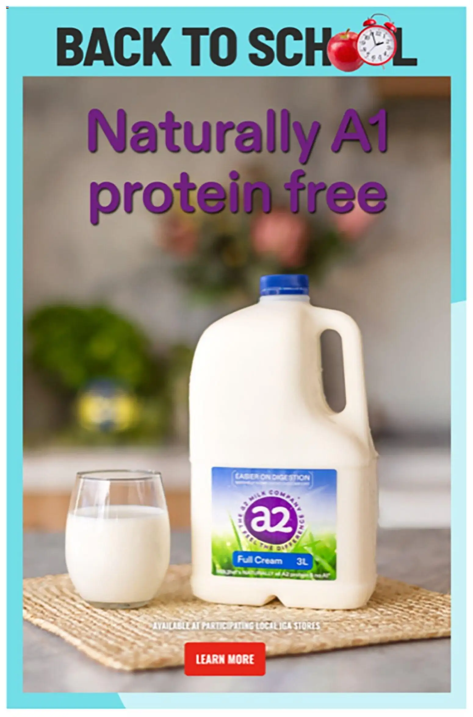 IGA catalogue - valid from 04.02.2026 | Page: 44