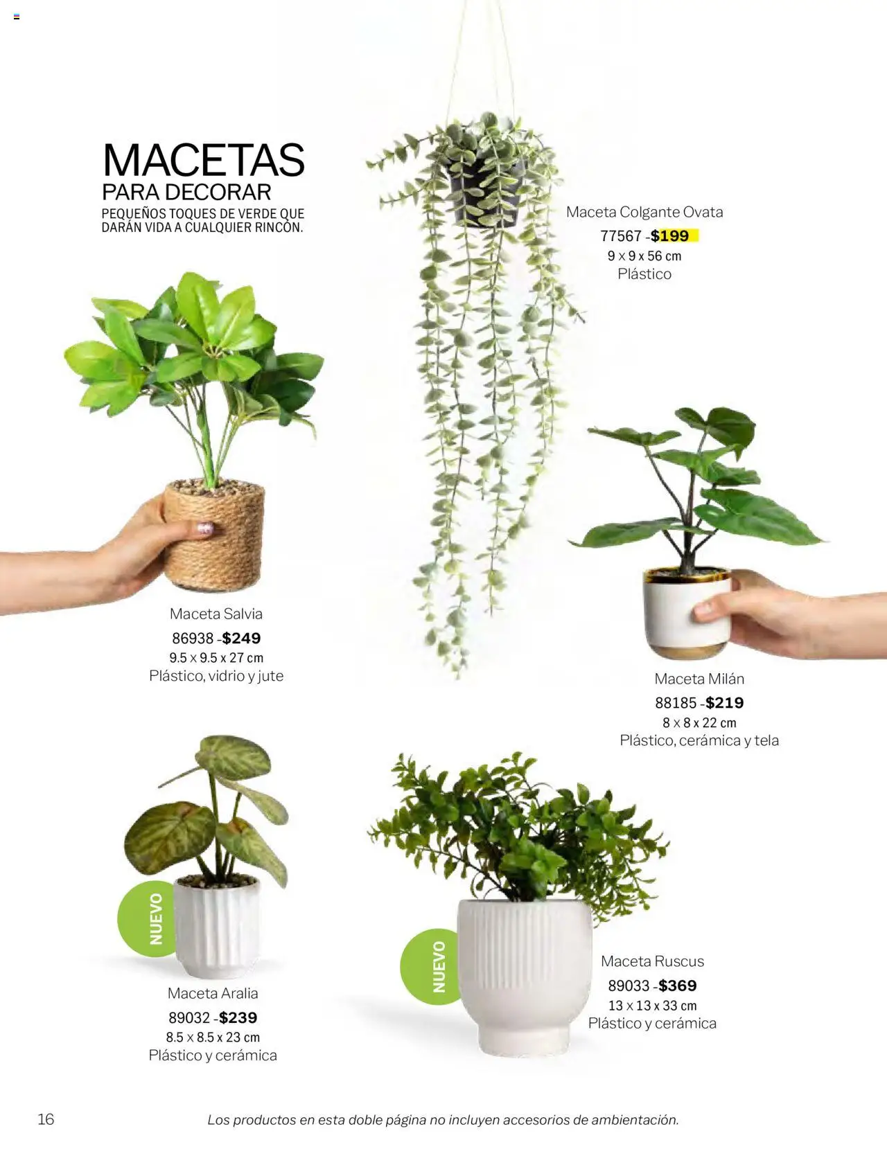 Nuevas ofertas de Vianney válidas en toda la República Mexicana desde el 09.09.2024. ¡Encuentra las mejores ofertas en Vianney catálogo - Biasi! | Página: 18 | Productos: Maceta
