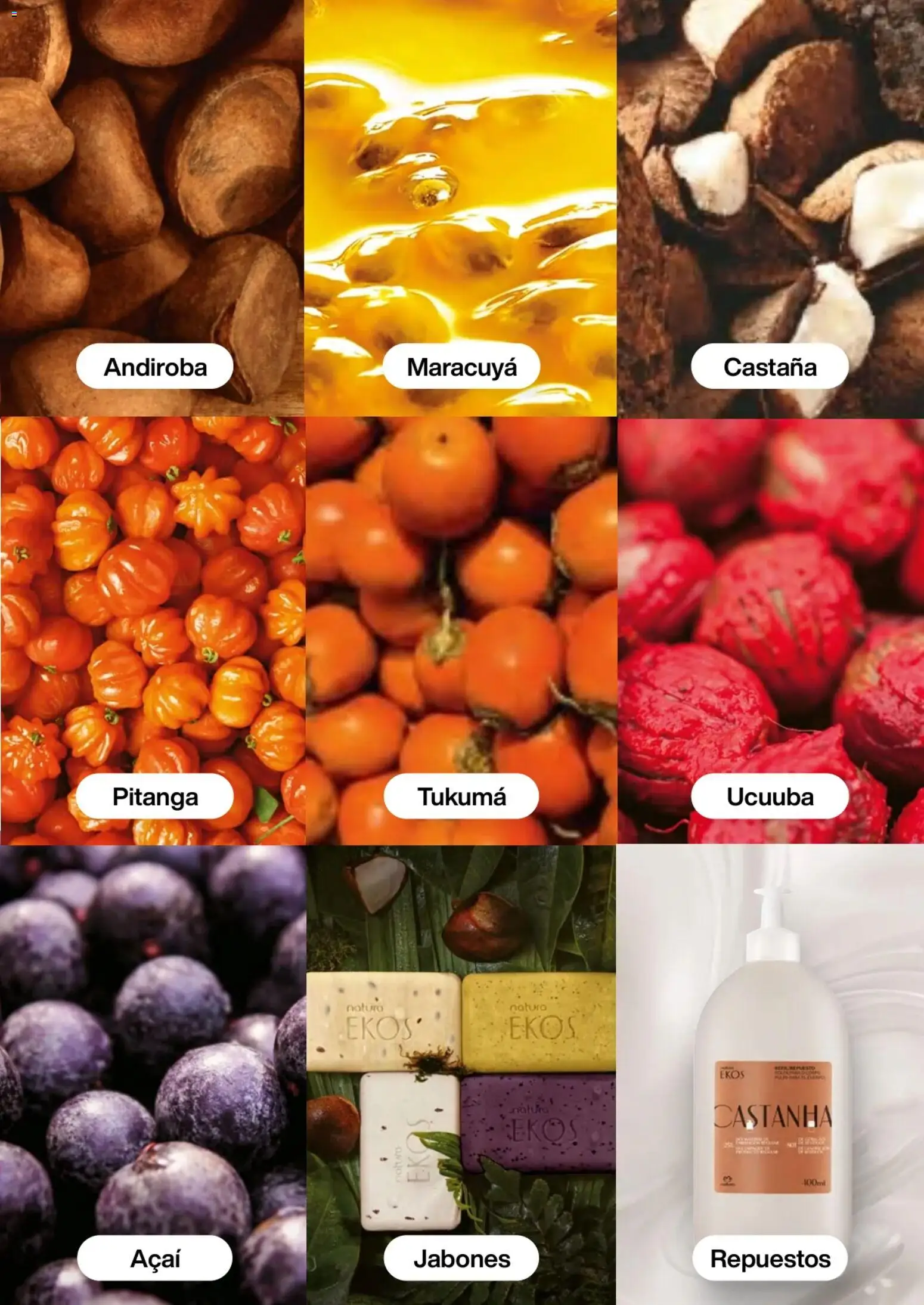 Natura revista - valida desde el 02.01.2026 | Página: 102 | Productos: Maracuyá