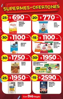Vista previa Supermercado DIA Ofertas válido desde el 22.10.2025 | Página: 15