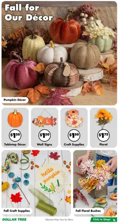 Dollar Tree Weekly Ad - valid from 17.08.2025 | Page: 5 | Products: Pumpkin