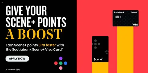 Preview of Foodland weekly flyer / circulaire from shop Foodland valid from 19.03.2026 | Page: 16