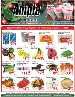 Preview of Ample Food Market - Weekly flyer Brampton from shop Ample Food Market valid from 05.12.2025