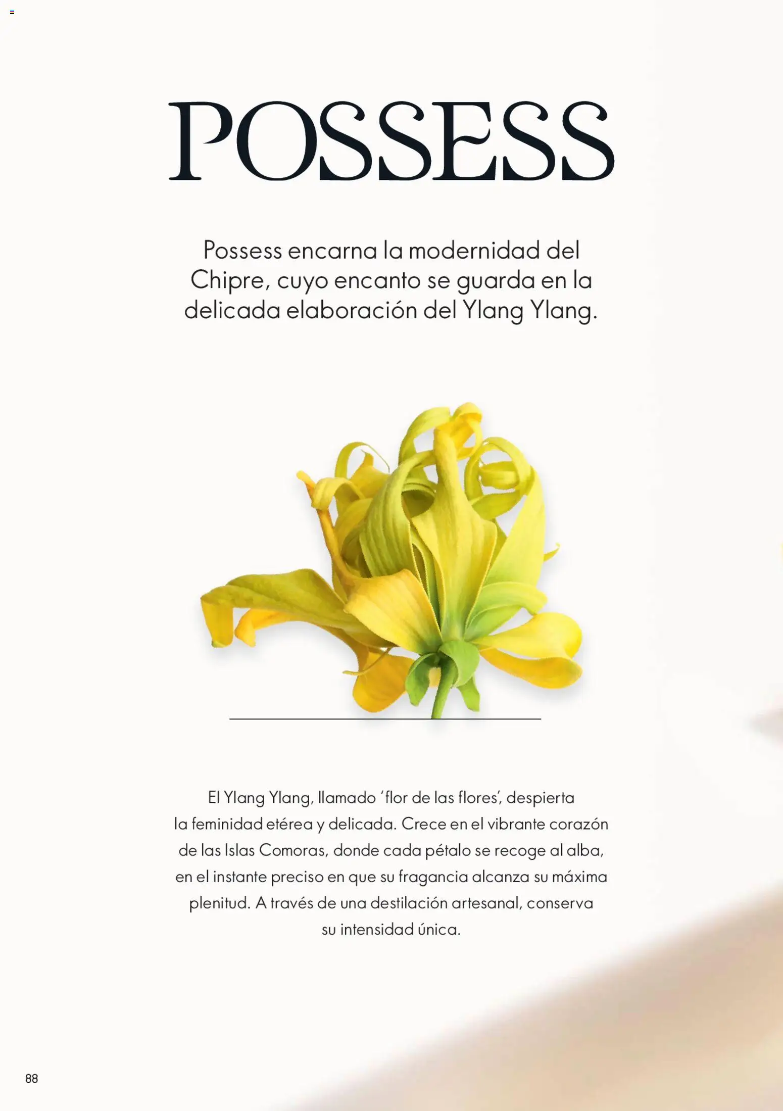 Catálogo Oriflame válido desde 14.02.2026 | Página: 88 | Productos: Fragancia