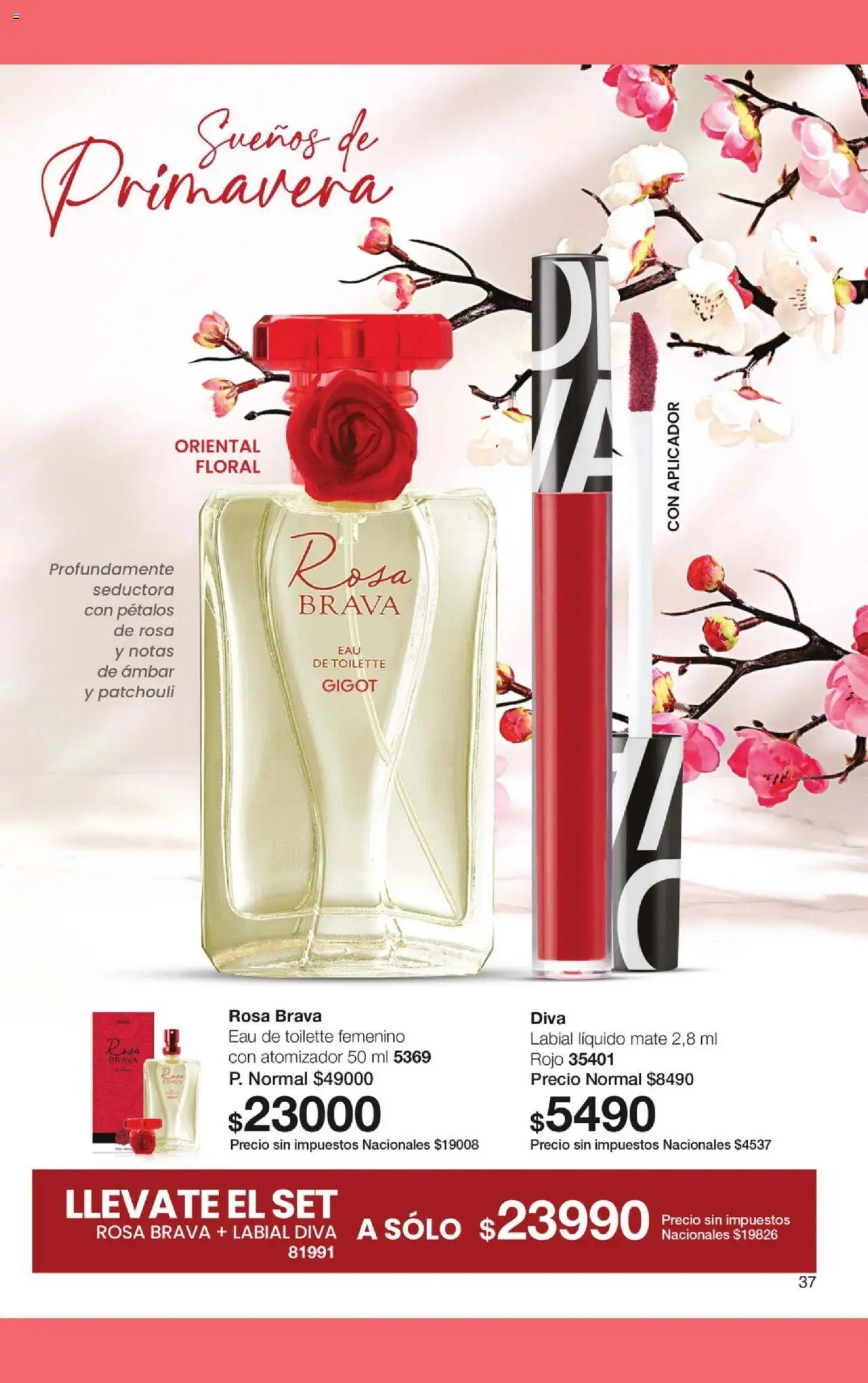 Gigot catálogo │ válido desde el 01.10.2025 | Página: 55 | Productos: Mate, Eau de toilette