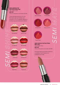 Vista previa Mary Kay catálogo válido desde el 02.01.2026 | Página: 51 | Productos: Mate, Lápiz labial, Radiante