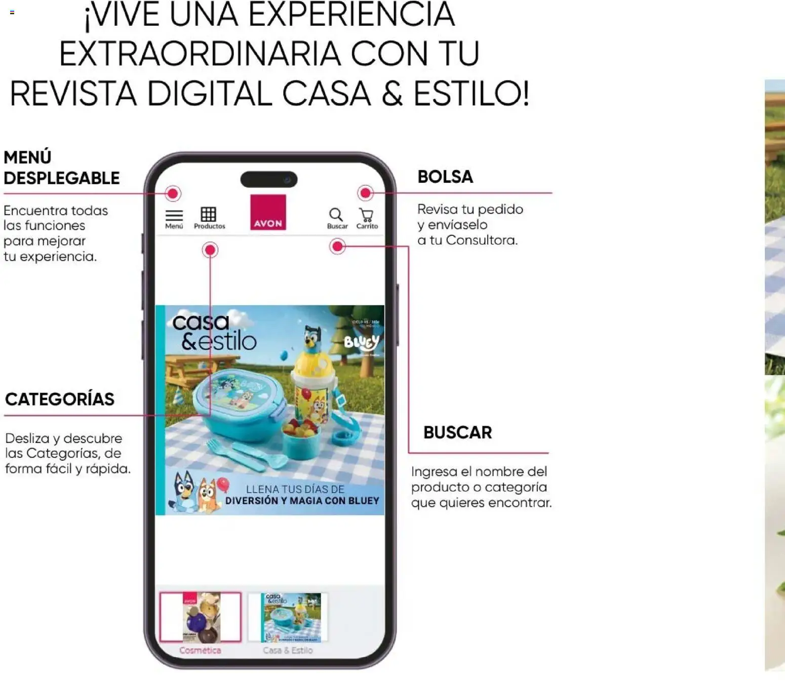 Nuevas ofertas de AVON válidas en toda la República Mexicana desde el 13.03.2026. ¡Encuentra las mejores ofertas en AVON Casa & Estilo 5 2026! | Página: 2