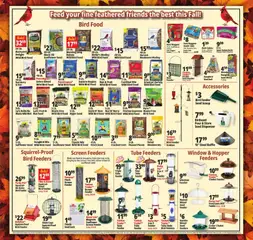 Preview of Ocean State Job Lot weekly ads valid from 06.11.2025 | Page: 18