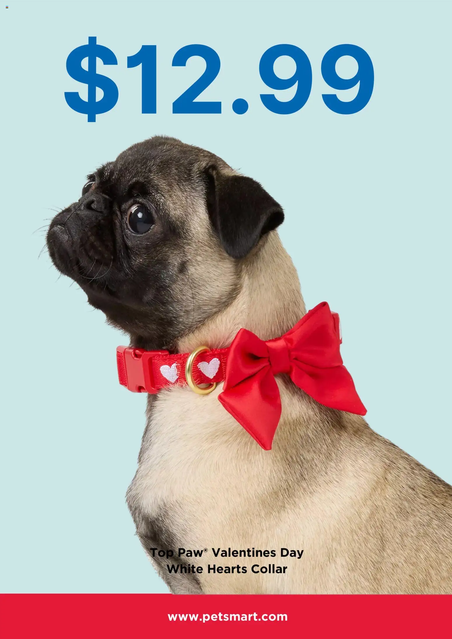 Petsmart Monthly Ad - valid from 01.01.2026 | Page: 2