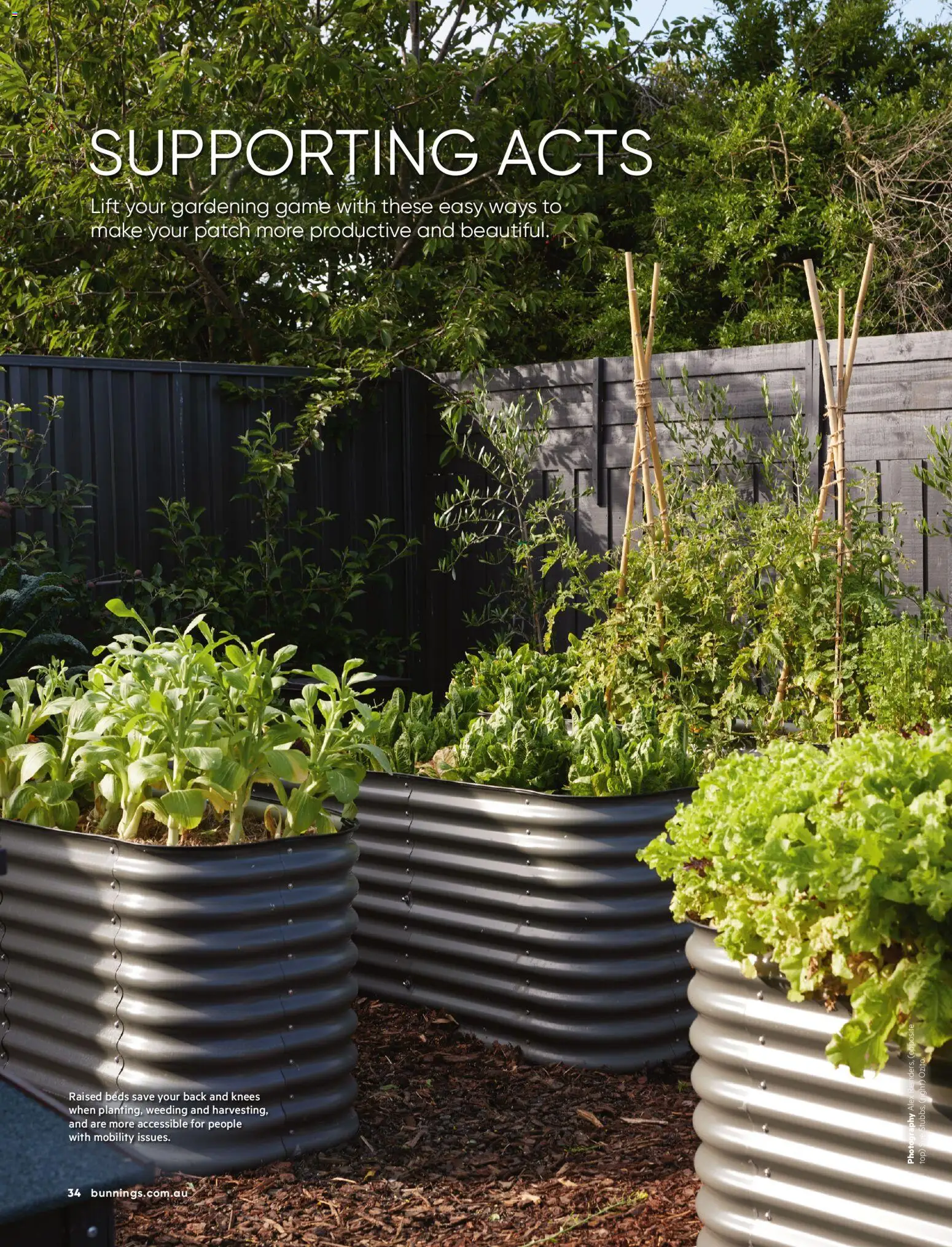 Bunnings Warehouse catalogue - valid from 01.04.2026 | Page: 34 | Products: Game