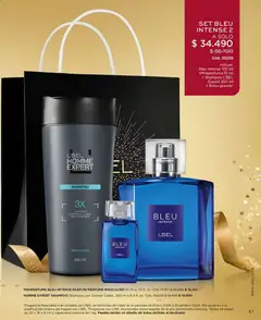 Catálogo L'Bel Campaña 1 válido desde el 01.01.2026 | Página: 67 | Productos: Bolsa, Fragancia, Shampoo
