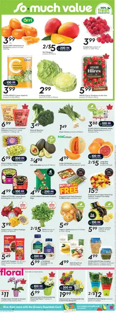 Preview of Sobeys weekly flyer / circulaire from shop Sobeys valid from 16.04.2026 | Page: 7
