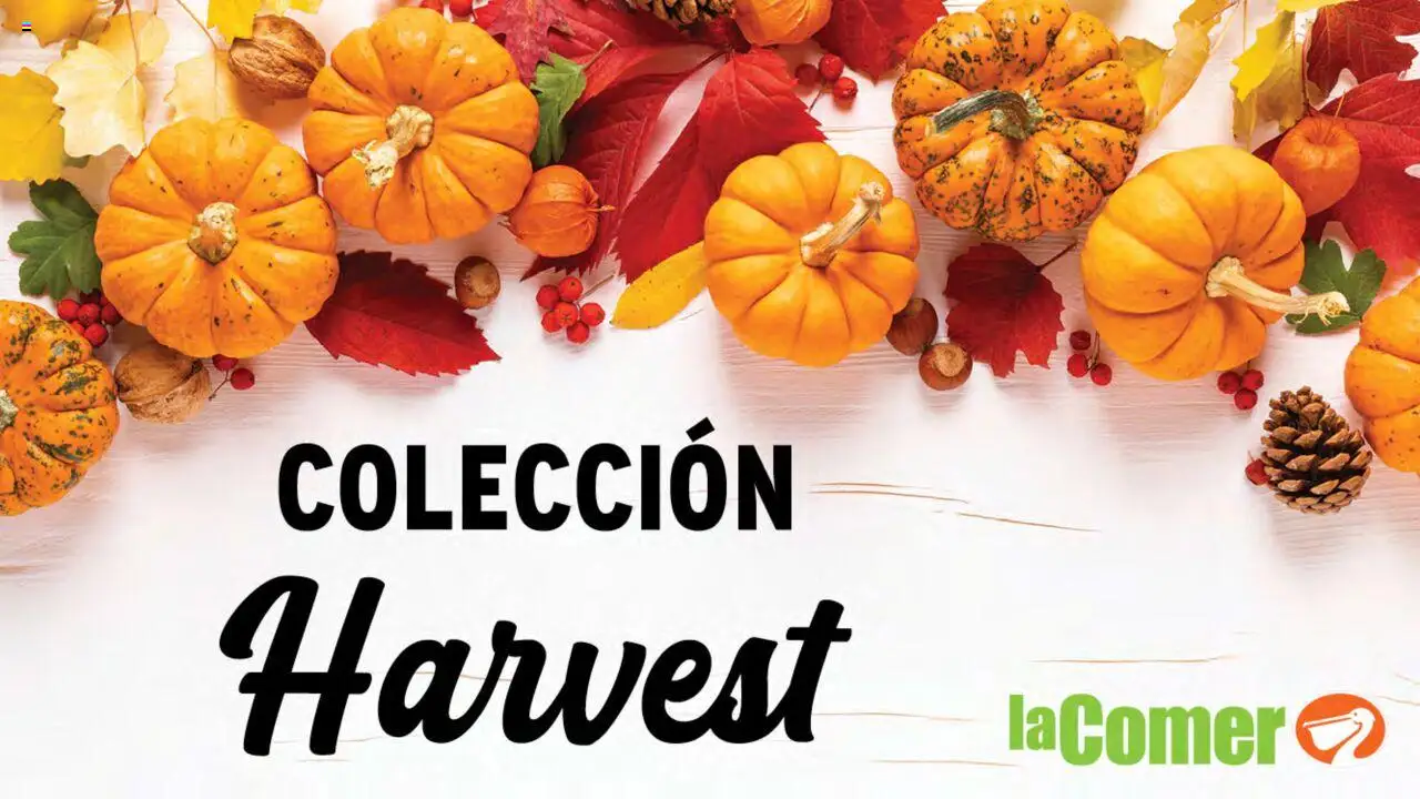 Nuevas ofertas de La Comer válidas en toda la República Mexicana desde el 19.09.2025. ¡Encuentra las mejores ofertas en La Comer - Folleto! | Página: 27