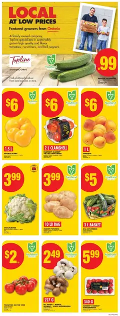 No Frills flyer valid from 24.07.2025 | Page: 3