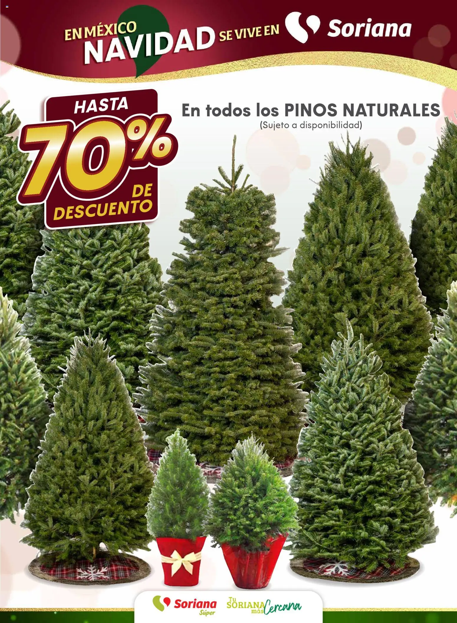 Nuevas ofertas de Soriana válidas en toda la República Mexicana desde el 10.12.2025. ¡Encuentra las mejores ofertas en Soriana - Martes y Miércoles del Campo Súper: Tijuana, Mexicali, Ensenada, San Luis Río Colorado y Tecate! | Página: 6