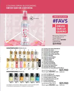 Avon catálogo - Campaña C17/2025 -  Vista previa de la revista de la tienda Avon valido desde el 01.12.2025 | Página: 93