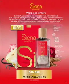 Bagués catálogo │ válido desde el 25.08.2025 | Página: 3 | Productos: Pimienta, Pomelo