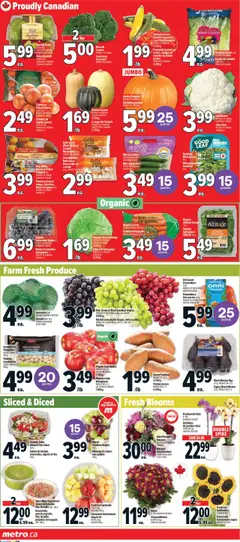 Metro flyer valid from 11.09.2025 | Page: 6 | Products: Cucumbers, Salad, Basket, Pumpkin