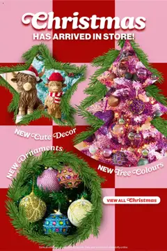 Preview of The Reject Shop  Catalogue  - valid from 15.10.2025 | Page: 10 | Products: Decor, Ornaments