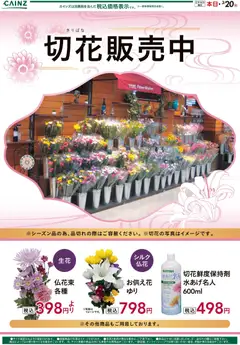 14.03.2026から有効なオファーを含む カインズ ホーム - 切花