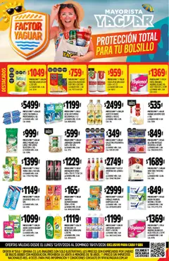Vista previa Yaguar catálogo válido desde el 12.01.2026