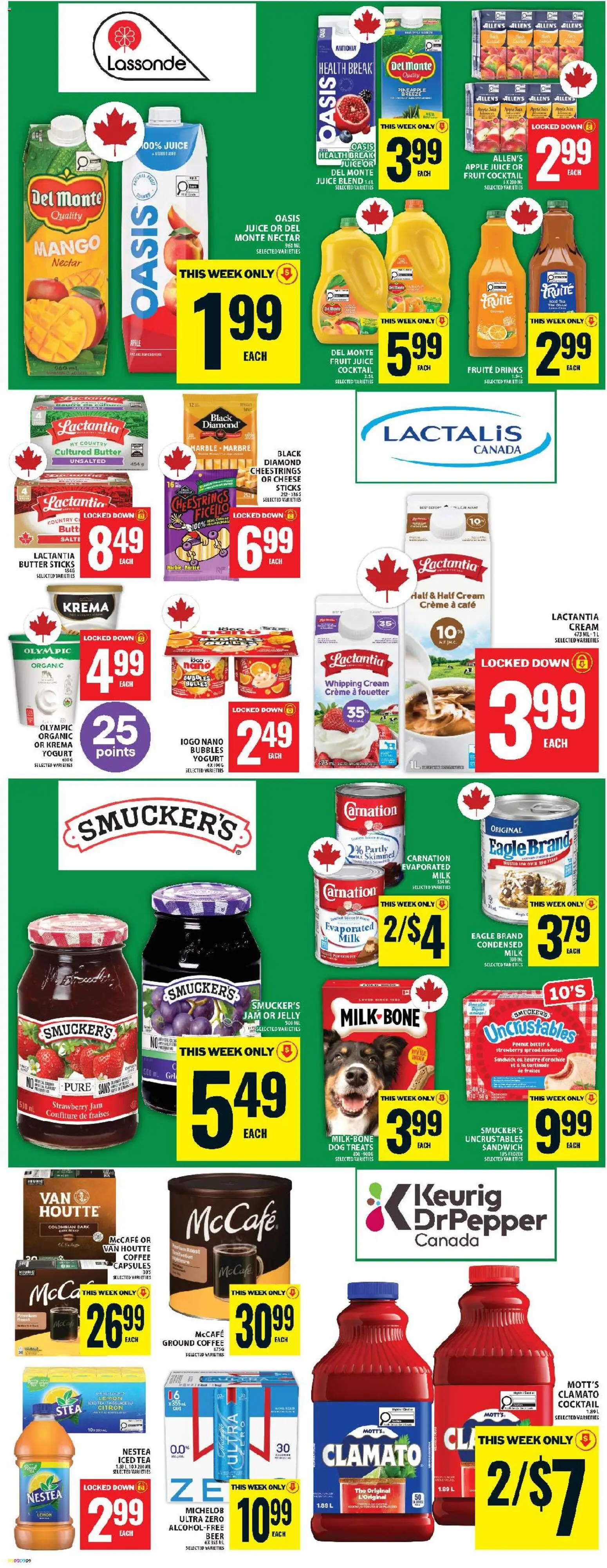 Food Basics flyer valid from 09.04.2026 | Page: 11 | Products: Tea, Milk, Coffee, Pumpkin
