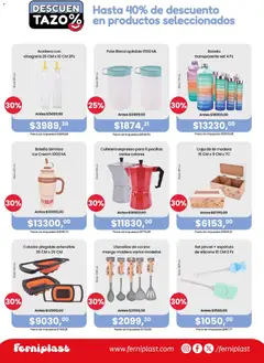 Vista previa Ferniplast catálogo válido desde el 19.03.2026 | Página: 2