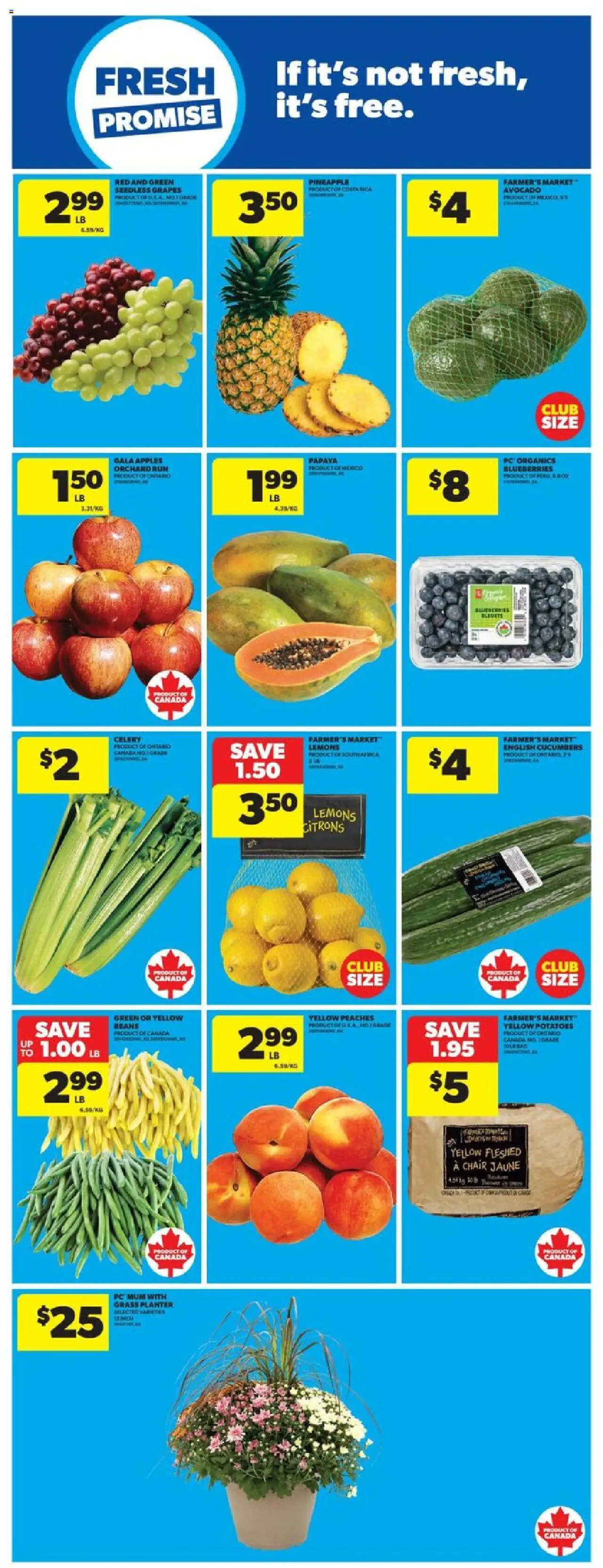 Real Canadian Superstore flyer valid from 18.09.2025 | Page: 19 | Products: Pineapple, Potatoes, Chair, Apples