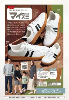  | ページ: 2 | 製品: インソール
