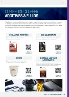 Preview of Black Woods  Electrical & Automotive Capability Statement  - valid from 08.08.2023 | Page: 29 | Products: Running shoes