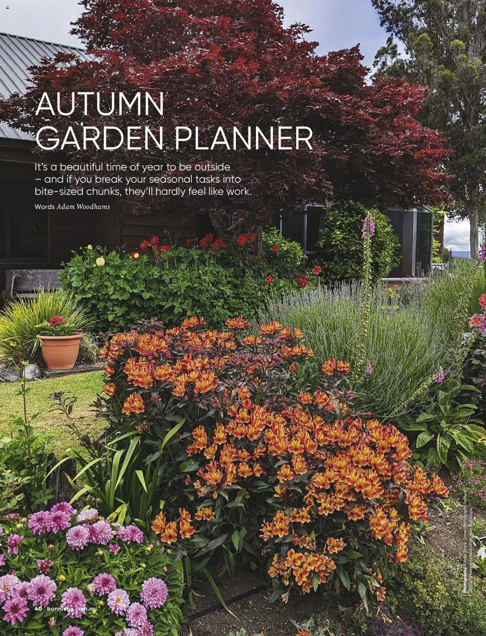 Bunnings Warehouse catalogue - valid from 01.03.2026 | Page: 40