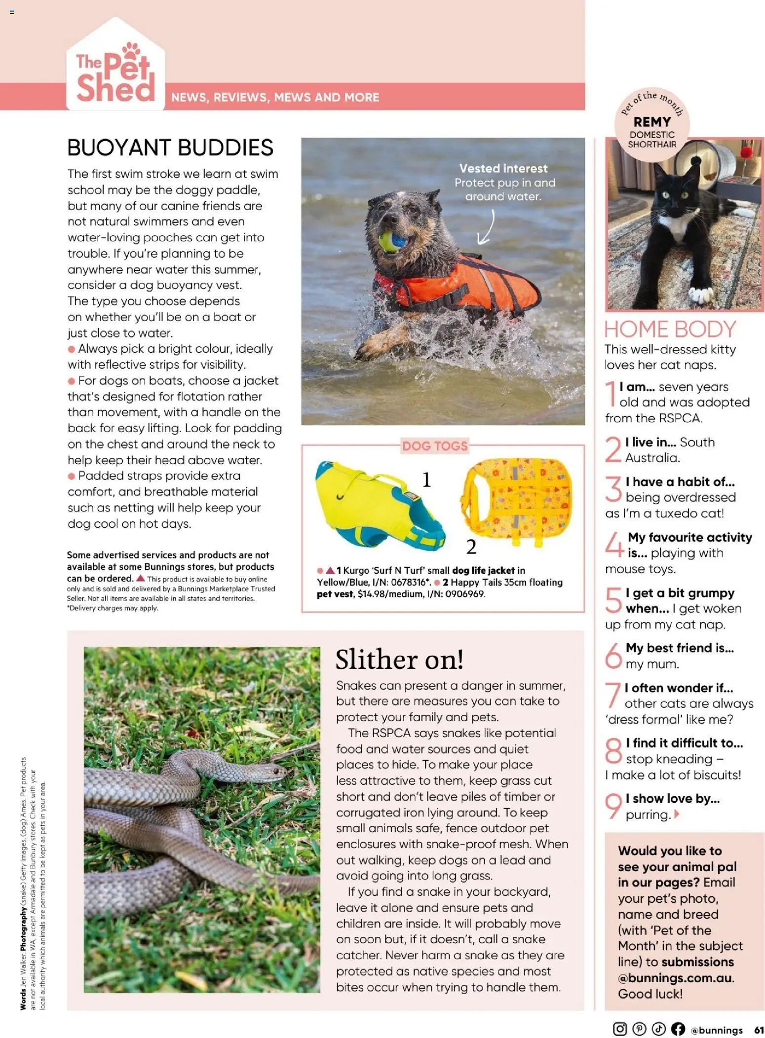 Bunnings Warehouse catalogue - valid from 01.01.2026 | Page: 61 | Products: Fence, Native, Domestic, Mouse