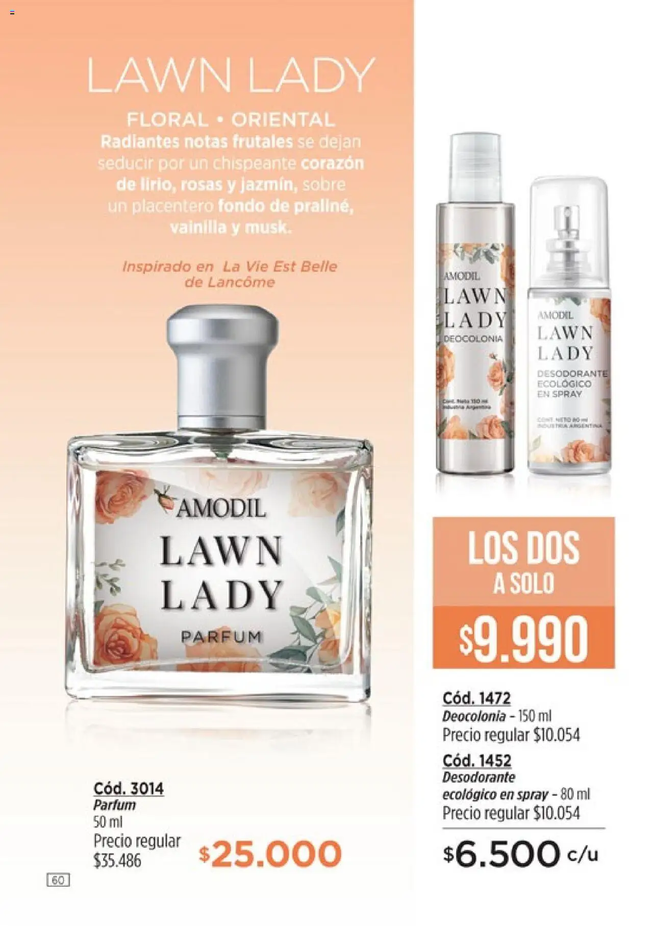 Catálogo Amodil Campaña 12 │ válido desde el 26.06.2025 | Página: 60 | Productos: Sobre, Desodorante
