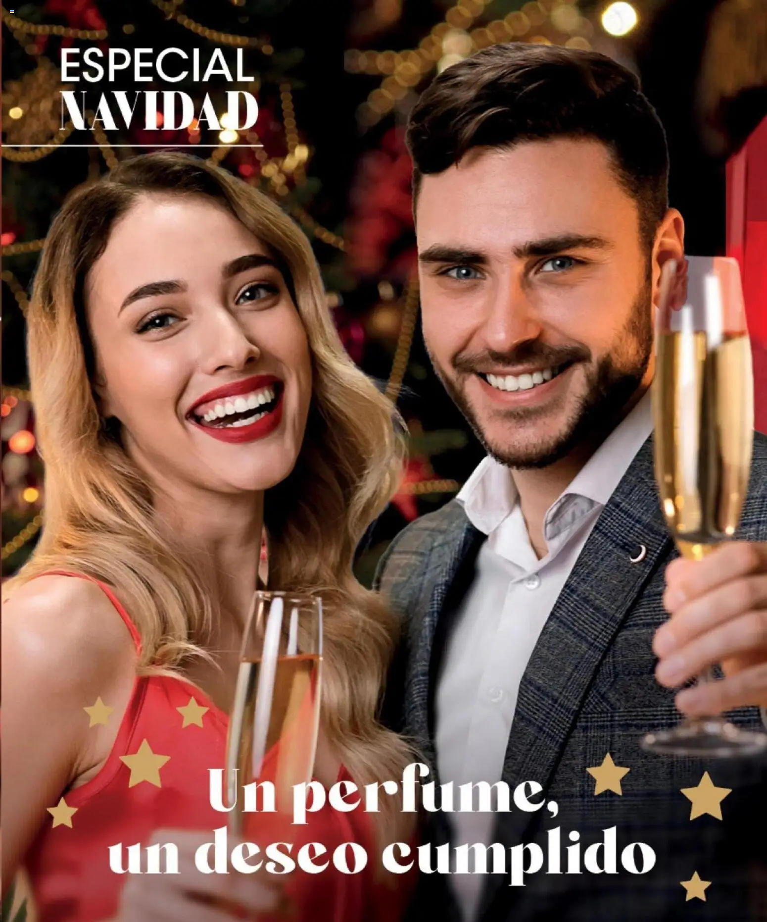 Millanel - Catálogo │ válido desde el 10.11.2025 | Página: 2