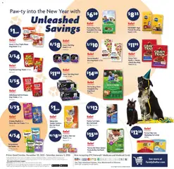 Preview of Family Dollar weekly ads valid from 28.12.2025 | Page: 13