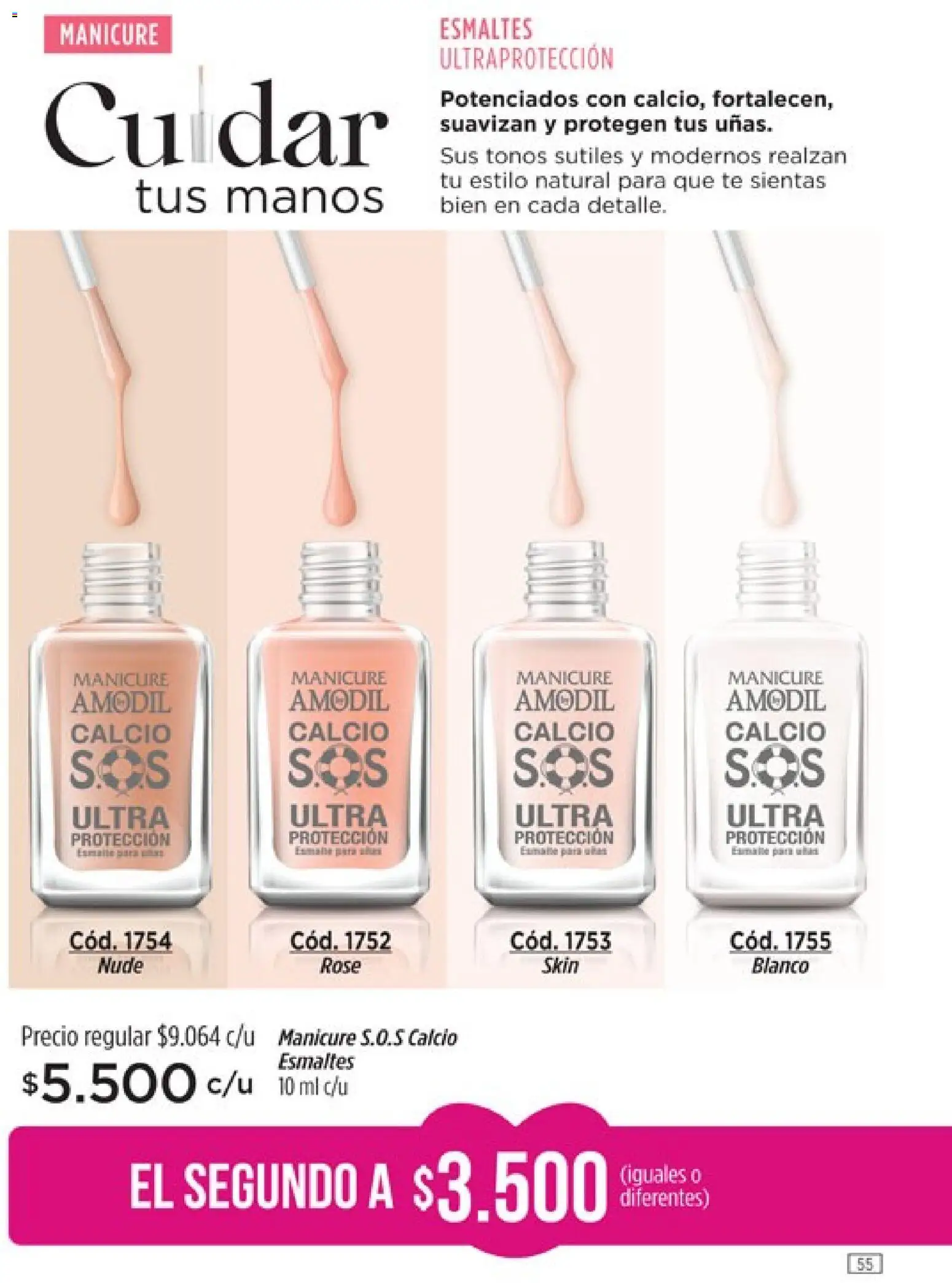 Catálogo Amodil Campaña 2 │ válido desde el 01.02.2026 | Página: 55 | Productos: Té