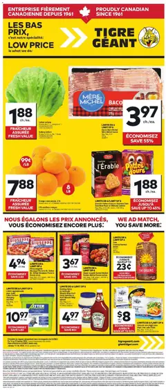 Preview of Giant Tiger weekly flyer / circulaire from shop Giant Tiger valid from 14.01.2026