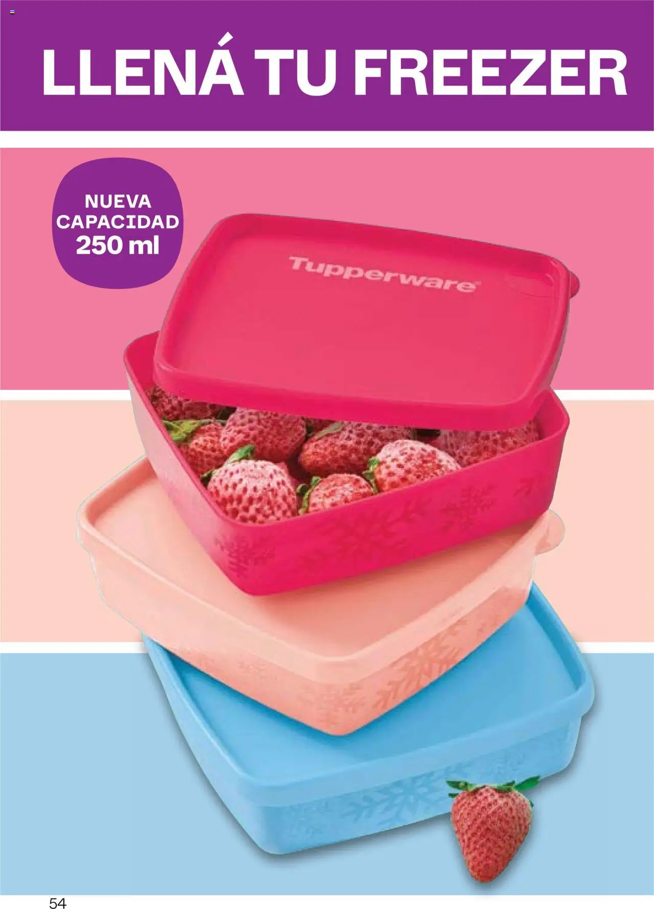 Tupperware - Campaña 17/2025 │ válido desde el 13.10.2025 | Página: 55 | Productos: Freezer