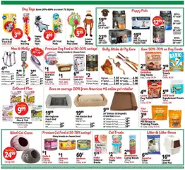 Ocean State Job Lot Weekly Ad - valid from 14.08.2025 | Page: 13 | Products: Bed, Couch, Dog Treats, Case