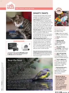 Preview of Catalogue Bunnings Warehouse February - valid from 01.02.2026 | Page: 55