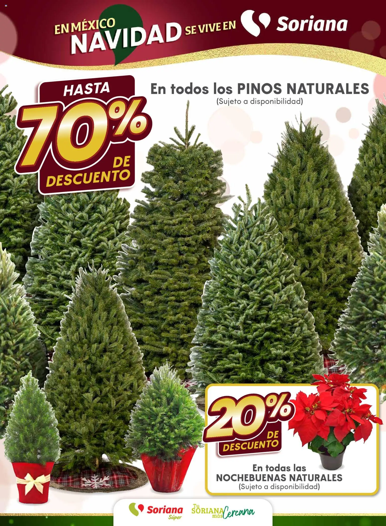 Nuevas ofertas de Soriana válidas en toda la República Mexicana desde el 10.12.2025. ¡Encuentra las mejores ofertas en Soriana - Martes y Miércoles del Campo Súper: Nuevo León, Ciudad Victoria y Tampico! | Página: 6