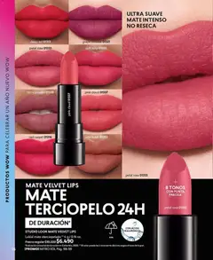 Catálogo CyZone Campaña 1 válido desde el 01.01.2026 | Página: 26 | Productos: Mousse, Mate, Labial